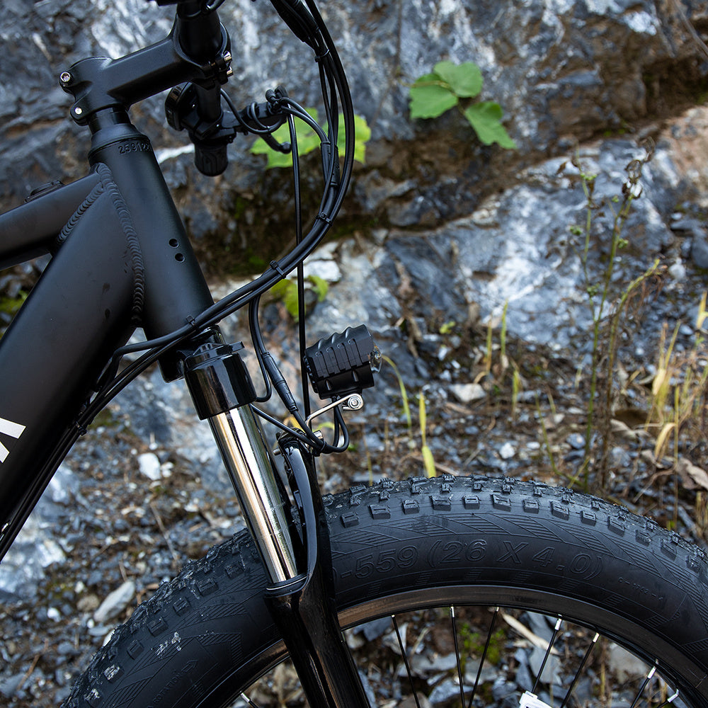 Electric Bike For Adults