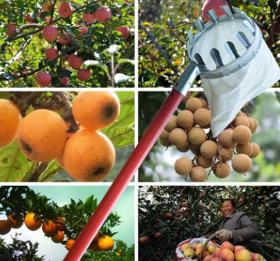 Metal fruit picker