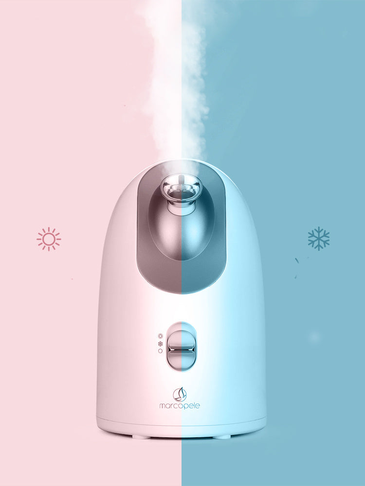Face steamer