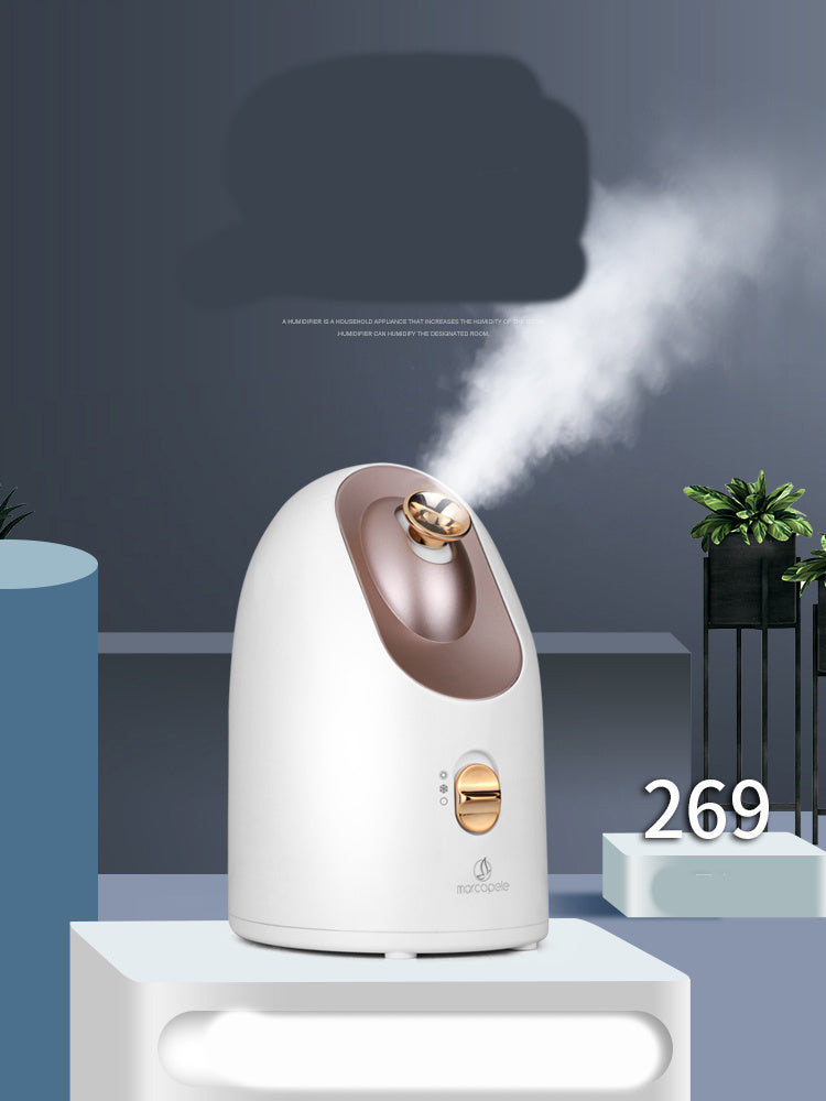 Face steamer