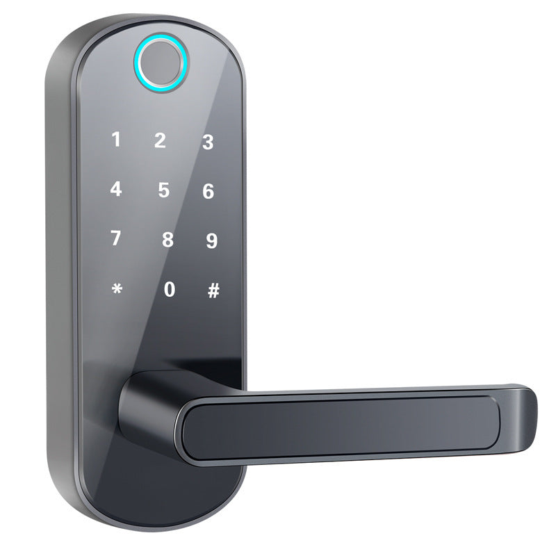 fingerprint lock