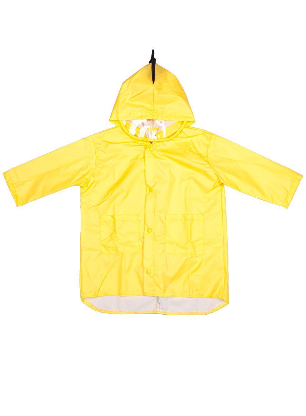 Dinosaur Raincoat