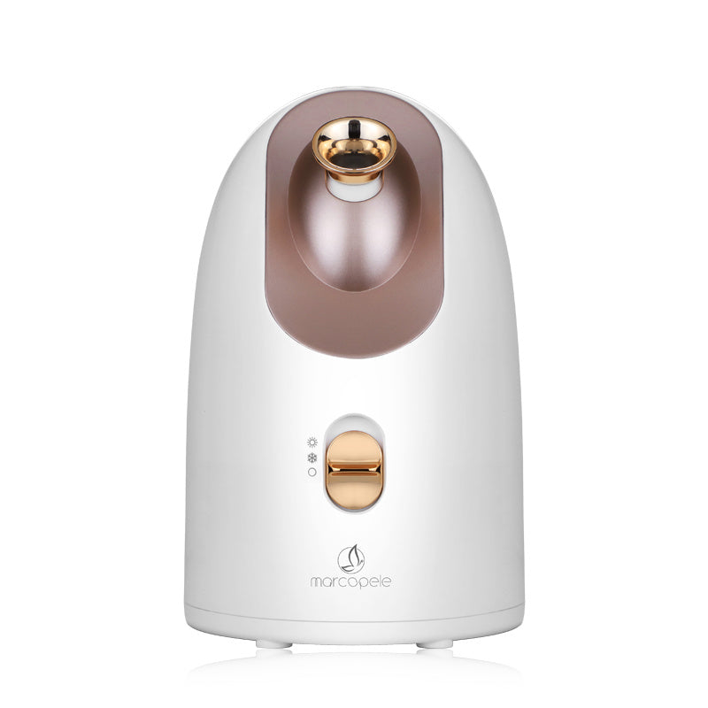 Face steamer