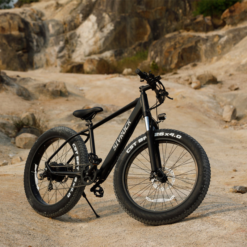 Electric Bike For Adults