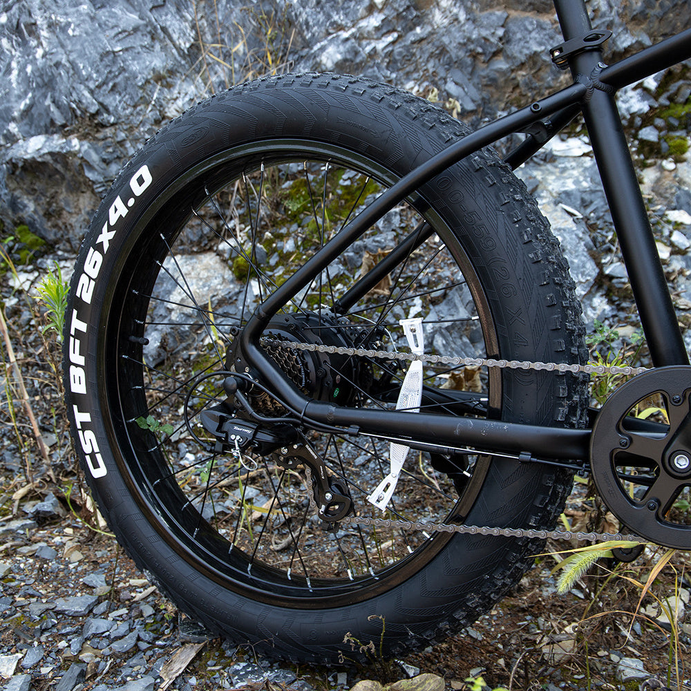 Electric Bike For Adults