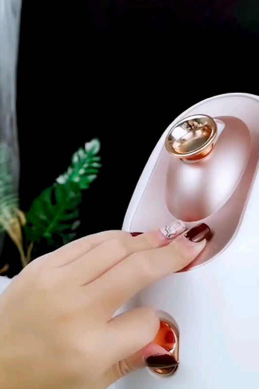 Face steamer