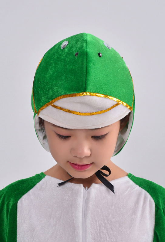 Cartoon Animal Turtle Costume